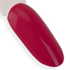 Lakier hybrydowy LED/UV Gel Polish NTN Premium Limited Edition Nr 114 HEMA/Di-HEMA Free 5g