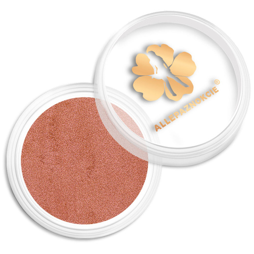 Chameleon Effect Nail Powder Allepaznokcie No. 14