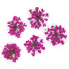 Fiori secchi per decorazioni per unghie MollyLac Peach Pink, 5 pezzi