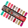 Lakier hybrydowy Ntn Premium Celebration Collection 5g Nr 170
