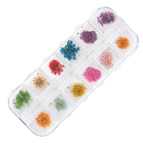 Fleurs séchées pour la décoration des ongles, coffret Molly Nails, type A, 24 pièces