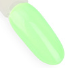 Lakier hybrydowy NTN Premium Soft Touch Collection 5g Nr 07