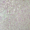 Pyłek do paznokci MollyLac Aurora Mirror Mist 0,3 g Nr 6