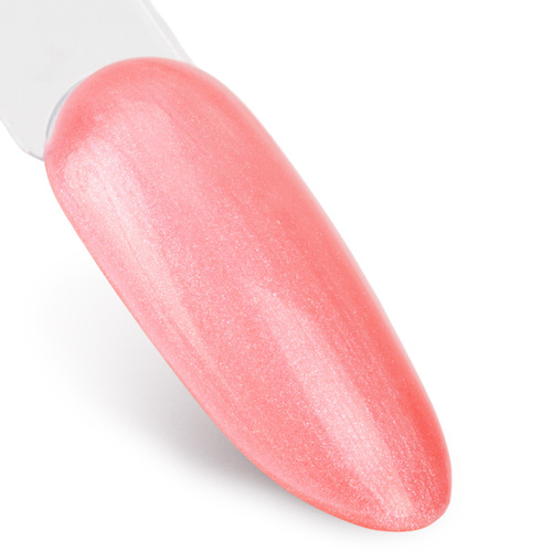 NTN Premium Impression Hybrid Nail Polish 5g No. 258