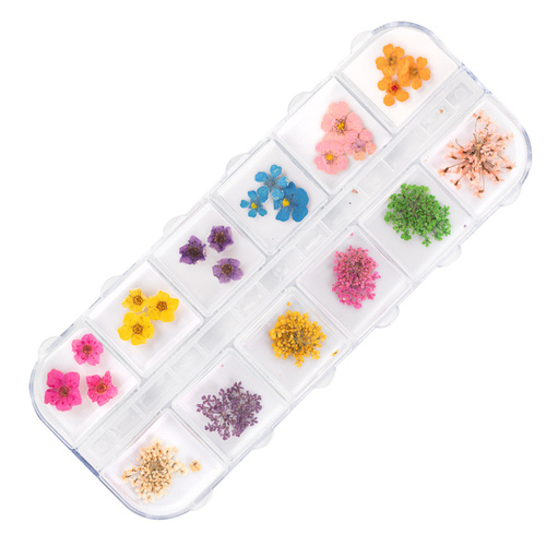 Flores secas para decorar las uñas en estuche Molly Nails, tipo B, 36 unidades