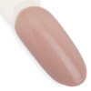 10+2 gratis Smalto ibrido LED/UV Gel Polish NTN Premium Topless Collection n. 14 senza HEMA/Di-HEMA 5 g
