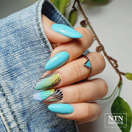 NTN Premium Dessert Collection Hybrid Nail Polish 5g No. 95