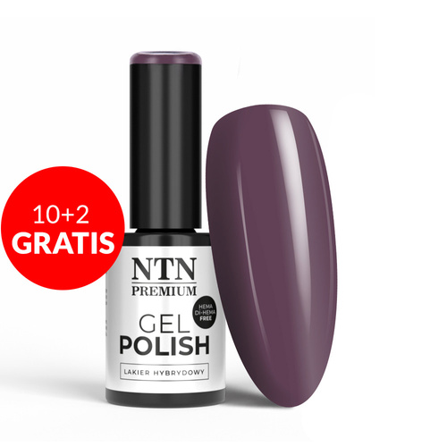10 + 2 gratuits - Vernis hybride LED/UV Gel Polish NTN Premium Seductive Collection n° 134 sans HEMA/Di-HEMA, 5 g