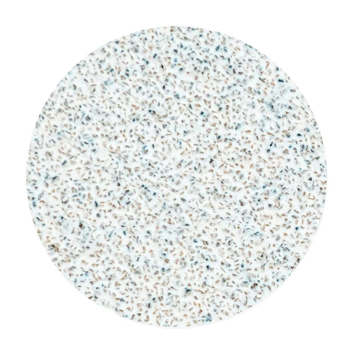 Disques abrasifs interchangeables, grain 80, pour PODODISC Staleks Expert, taille M, 20 mm, 50 pièces