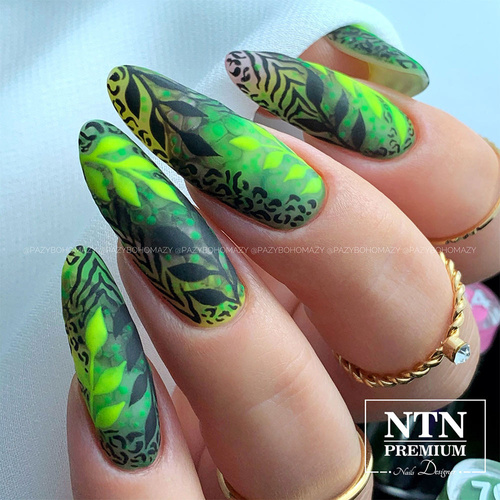 NTN Premium Fiesta Collection Hybrid Nail Polish 5g No. 76