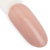 NTN Premium Topless Collection Hybrid Nail Polish 5g No. 14