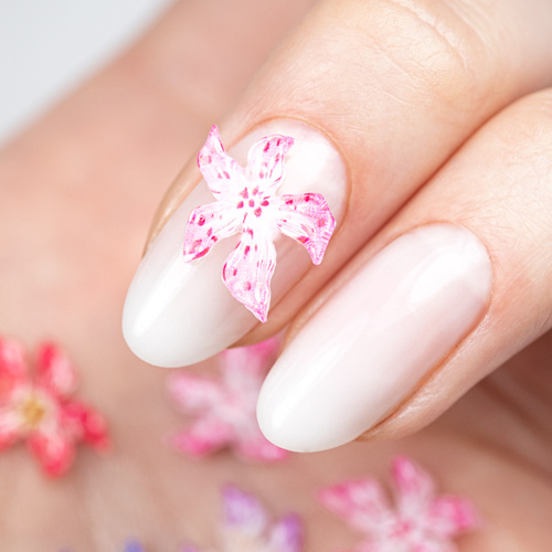 Kasetka z ozdobami akrylowe kwiatki 3D Molly Nails mix kolorów 60 sztuk