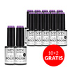 10+2gratis Lakier hybrydowy LED/UV Gel Polish NTN Premium Garden Party Collection Nr 173 HEMA/Di-HEMA Free 5g
