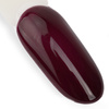 Lakier hybrydowy NTN Premium Show Collection HEMA/Di-HEMA Free 5 g Nr 113