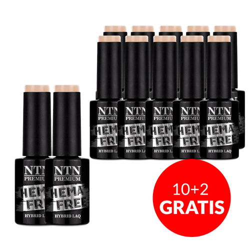 10 + 2 gratis. Esmalte híbrido NTN Premium Day Dreaming Collection sin HEMA ni Di-HEMA, 5 g, n.º 62