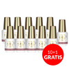 10 + 1 gratis: Aufbau-Gel in der Flasche mit Pinsel „Gel in Bottle“ von Molly Nails Pro Salon Biscotti, HEMA/Di-HEMA-frei, 15 g