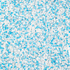 Ozdoba do paznokci Snow Dream Nr 8 5 g