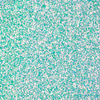 Nail Glitter No. 13, 20 g