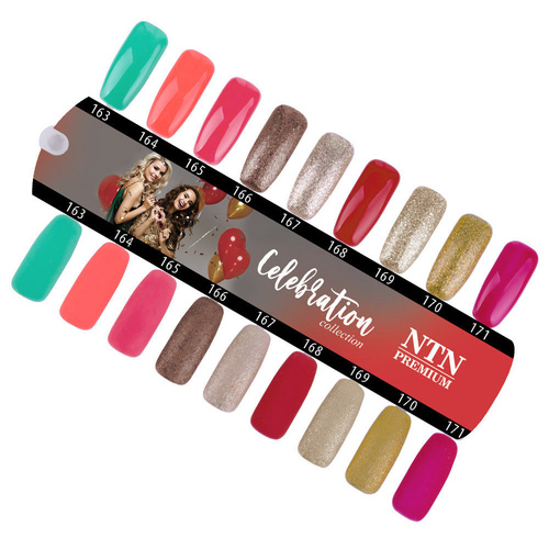 Lakier hybrydowy Ntn Premium Celebration Collection 5g Nr 163
