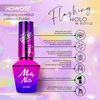 Lakier hybrydowy Molly Nails Flashing Holo in Bottle 8g