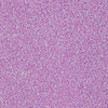 Brokat do paznokci Nr 76 20g