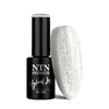 NTN Premium Limited Edition Hybrid Nail Polish 5g No. 317