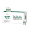 Active normalizing concentrate for reducing imperfections Farmona Professional Derma Acne 5x5 ml