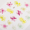 Autocollants bijoux 5D convexes en acrylique, motif fruits, n° 06