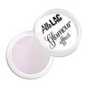 Pyłek do paznokci Glamour Effect AlleLac Purple 1g Nr 4