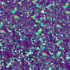 Polvo para uñas Primavera Allepaznokcie 1 g N.º 10
