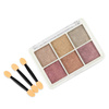 Pyłek do paznokci efekt lustra kasetka 6 kolorów Molly Nails Nr 3