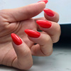 Lakier hybrydowy NTN Premium After Midnight Collection 5g Nr 66