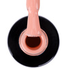 10 + 4 gratis LED/UV-Hybridlack Gel Polish Pinks Nr. 542 Limited Edition NTN Premium HEMA/Di-HEMA-frei 5 g