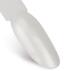 Lakier hybrydowy Ntn Premium Impression 5g Nr 260