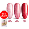 10+2 gratis Smalto ibrido LED/UV Gel Polish n. 222 Limited Edition AlleLac 5 g