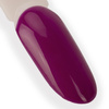 Гібридний лак LED/UV Gel Polish NTN Premium Seductive Collection № 131, без HEMA/Di-HEMA, 5 г