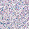 Płatki do paznokci Aurora Flakes 5g Nr 19