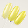 10 + 1 free LED/UV Gel Polish No. 303 Limited Edition AlleLac HEMA/Di-HEMA Free 5g