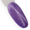 5 + 1 gratuit : vernis hybride magnétique à effet « œil de chat » Cat Eye Foxy Eyes Purple Light MollyLac 10 g n° 552
