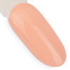 Lakier hybrydowy NTN Premium Day Dreaming Collection 5g Nr 59
