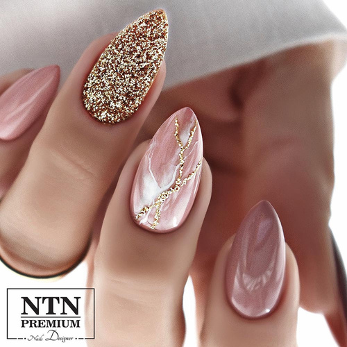NTN Premium Romantica Collection Hybrid Nail Polish 5g No. 106