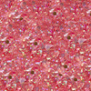 Nagelpulver Princess Nails Allepaznokcie 1 g Nr. 7