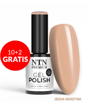 10+2 gratis Smalto ibrido NTN Premium Day Dreaming Collection senza HEMA/Di-HEMA 5 g n. 62