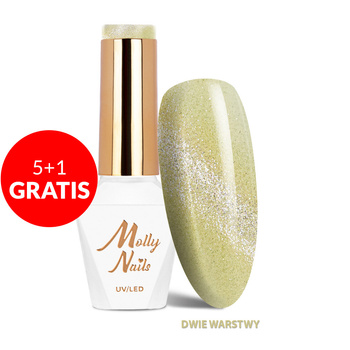5+1 gratis LED/UV-Gel-Nagellack Cat Eye Crystal Water Nr. 260 Champagne Molly Nails HEMA/Di-HEMA-frei 8 g