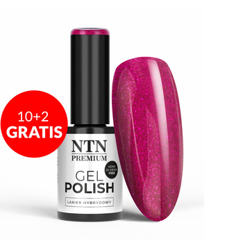 10+2 gratis Smalto ibrido NTN Premium Passion for Love Collection HEMA/Di-HEMA Free 5 g n. 205