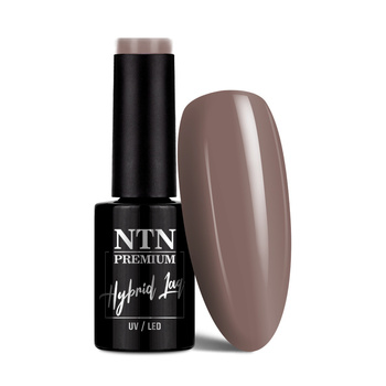 Smalto ibrido Ntn Premium Show Collection 5 g n. 111