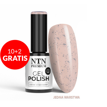10+2 gratis Smalto ibrido LED/UV Gel Polish NTN Premium Sugar Sweets Collection n. 191 senza HEMA/Di-HEMA 5 g
