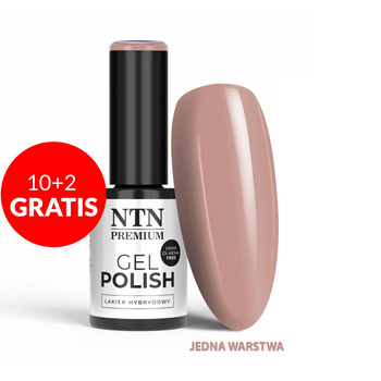 10+2 gratis Smalto ibrido LED/UV Gel Polish NTN Premium Topless Collection n. 14 senza HEMA/Di-HEMA 5 g