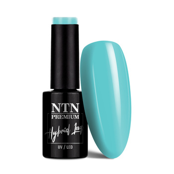 Smalto ibrido Ntn Premium Dessert Collection 5 g n. 95