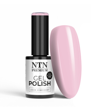 Smalto ibrido NTN Premium Birthday Party Collection senza HEMA/Di-HEMA 5 g n. 47
